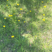 ヒメ日記 2026/05/05 10:20 投稿 伊織 角海老宮殿