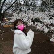 ヒメ日記 2026/04/30 20:08 投稿 ももか★恋人感溢れる清純派OL Bell～S級美女お姉様・人妻デリヘル～