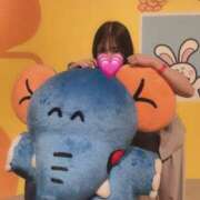 ヒメ日記 2026/10/15 14:04 投稿 ももか★恋人感溢れる清純派OL Bell～S級美女お姉様・人妻デリヘル～