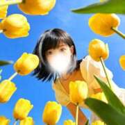ヒメ日記 2026/05/04 19:05 投稿 冬月しおり マダム撫子(なでしこ)～麗しの楽園ソープ～