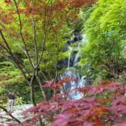 ヒメ日記 2026/05/02 12:01 投稿 杉本みゆ マダム撫子(なでしこ)～麗しの楽園ソープ～