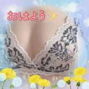 ヒメ日記 2026/05/24 08:01 投稿 白川さら マダム撫子(なでしこ)～麗しの楽園ソープ～