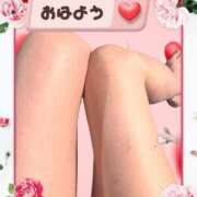 ヒメ日記 2026/06/13 06:41 投稿 白川さら マダム撫子(なでしこ)～麗しの楽園ソープ～