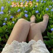 ヒメ日記 2026/08/08 08:11 投稿 白川さら マダム撫子(なでしこ)～麗しの楽園ソープ～