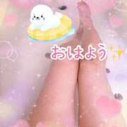 ヒメ日記 2026/08/11 09:19 投稿 白川さら マダム撫子(なでしこ)～麗しの楽園ソープ～