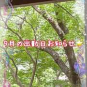 ヒメ日記 2026/08/31 06:01 投稿 白川さら マダム撫子(なでしこ)～麗しの楽園ソープ～