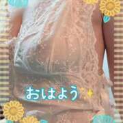 ヒメ日記 2026/08/31 06:21 投稿 白川さら マダム撫子(なでしこ)～麗しの楽園ソープ～