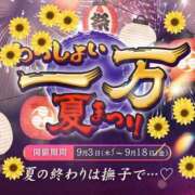 ヒメ日記 2026/09/01 12:58 投稿 白川さら マダム撫子(なでしこ)～麗しの楽園ソープ～