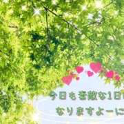 ヒメ日記 2026/07/26 06:41 投稿 野崎さゆり マダム撫子(なでしこ)～麗しの楽園ソープ～