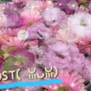 ヒメ日記 2026/08/01 18:21 投稿 野崎さゆり マダム撫子(なでしこ)～麗しの楽園ソープ～