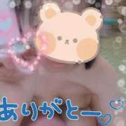 ヒメ日記 2026/08/10 12:02 投稿 野崎さゆり マダム撫子(なでしこ)～麗しの楽園ソープ～