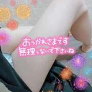 ヒメ日記 2026/08/20 07:41 投稿 片平れいか マダム撫子(なでしこ)～麗しの楽園ソープ～
