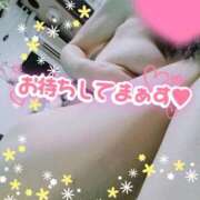 ヒメ日記 2026/09/04 09:01 投稿 片平れいか マダム撫子(なでしこ)～麗しの楽園ソープ～