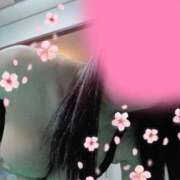 ヒメ日記 2026/09/30 17:41 投稿 片平れいか マダム撫子(なでしこ)～麗しの楽園ソープ～