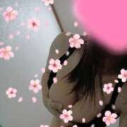 ヒメ日記 2026/10/07 15:02 投稿 片平れいか マダム撫子(なでしこ)～麗しの楽園ソープ～