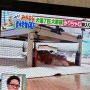 ヒメ日記 2026/06/13 19:11 投稿 阿部ななみ マダム撫子(なでしこ)～麗しの楽園ソープ～