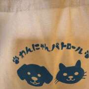 ヒメ日記 2026/09/14 11:08 投稿 阿部ななみ マダム撫子(なでしこ)～麗しの楽園ソープ～