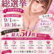 ヒメ日記 2026/09/05 13:57 投稿 ちゃま ぷるるん小町日本橋店