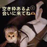 ヒメ日記 2026/05/06 00:52 投稿 もな ぽちゃ巨乳専門　新大久保・新宿歌舞伎町ちゃんこ