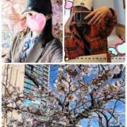 ヒメ日記 2026/03/26 22:29 投稿 河原　じゅん エテルナ京都