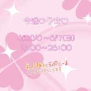 ヒメ日記 2026/06/01 11:28 投稿 戸田 ゆうな こあくまな熟女たち 京都店(KOAKUMAグループ)