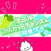 ヒメ日記 2026/06/27 11:41 投稿 こころ エンジェルマスカット