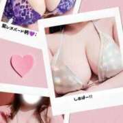 ヒメ日記 2026/06/29 20:08 投稿 こころ エンジェルマスカット