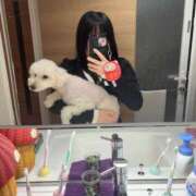 ヒメ日記 2026/05/24 08:39 投稿 りんご とある風俗店♡やりすぎさーくる新宿大久保店♡で色んな無料オプションしてみました