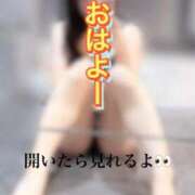 ヒメ日記 2026/05/02 06:05 投稿 るか The White