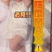 ヒメ日記 2026/05/04 15:17 投稿 るか The White