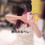 ヒメ日記 2026/05/11 14:47 投稿 るか The White