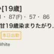 ヒメ日記 2026/05/25 15:28 投稿 るか The White