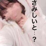 ヒメ日記 2026/05/25 16:08 投稿 るか The White