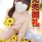 ヒメ日記 2026/09/20 15:09 投稿 るか The White（ザ ホワイト）