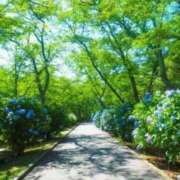 ヒメ日記 2026/05/07 04:16 投稿 大竹あかね MADAM