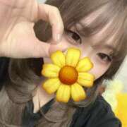 ヒメ日記 2026/04/29 23:59 投稿 こい スピードエコ日本橋店