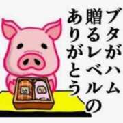 ヒメ日記 2026/05/01 09:06 投稿 朝比奈めい 大阪ぽっちゃり妻 谷九店