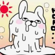 ヒメ日記 2026/05/25 15:18 投稿 朝比奈めい 大阪ぽっちゃり妻 谷九店