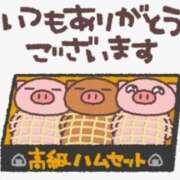 ヒメ日記 2026/05/30 03:44 投稿 朝比奈めい 大阪ぽっちゃり妻 谷九店