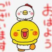 ヒメ日記 2026/08/06 11:03 投稿 朝比奈めい 大阪ぽっちゃり妻 谷九店