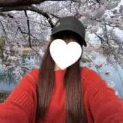 ヒメ日記 2026/06/14 12:18 投稿 あまね 俺のKissリフレ