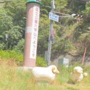 ヒメ日記 2026/08/06 13:06 投稿 やよい クラブバレンタイン神戸西店