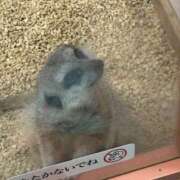 かのあ 🐍 バイオレンス