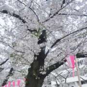 ヒメ日記 2026/05/04 11:53 投稿 光優【ミユ】 LOVEキタ兎我野店