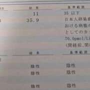 ヒメ日記 2026/08/26 05:08 投稿 ことの 熟女の風俗最終章 宇都宮店