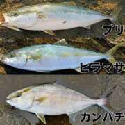 ヒメ日記 2026/09/22 15:02 投稿 ことの 熟女の風俗最終章 宇都宮店