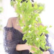 ヒメ日記 2026/04/30 19:13 投稿 羽月 天音 癒しの円環～Art of Massage～五反田