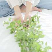 ヒメ日記 2026/05/14 21:49 投稿 羽月 天音 癒しの円環～Art of Massage～五反田