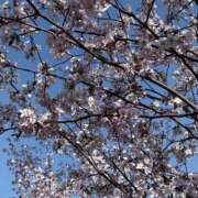 れみ お花見?? ハピネス札幌 ROUND2