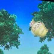 ヒメ日記 2026/08/07 12:56 投稿 もも 上大岡しこたまクリニック